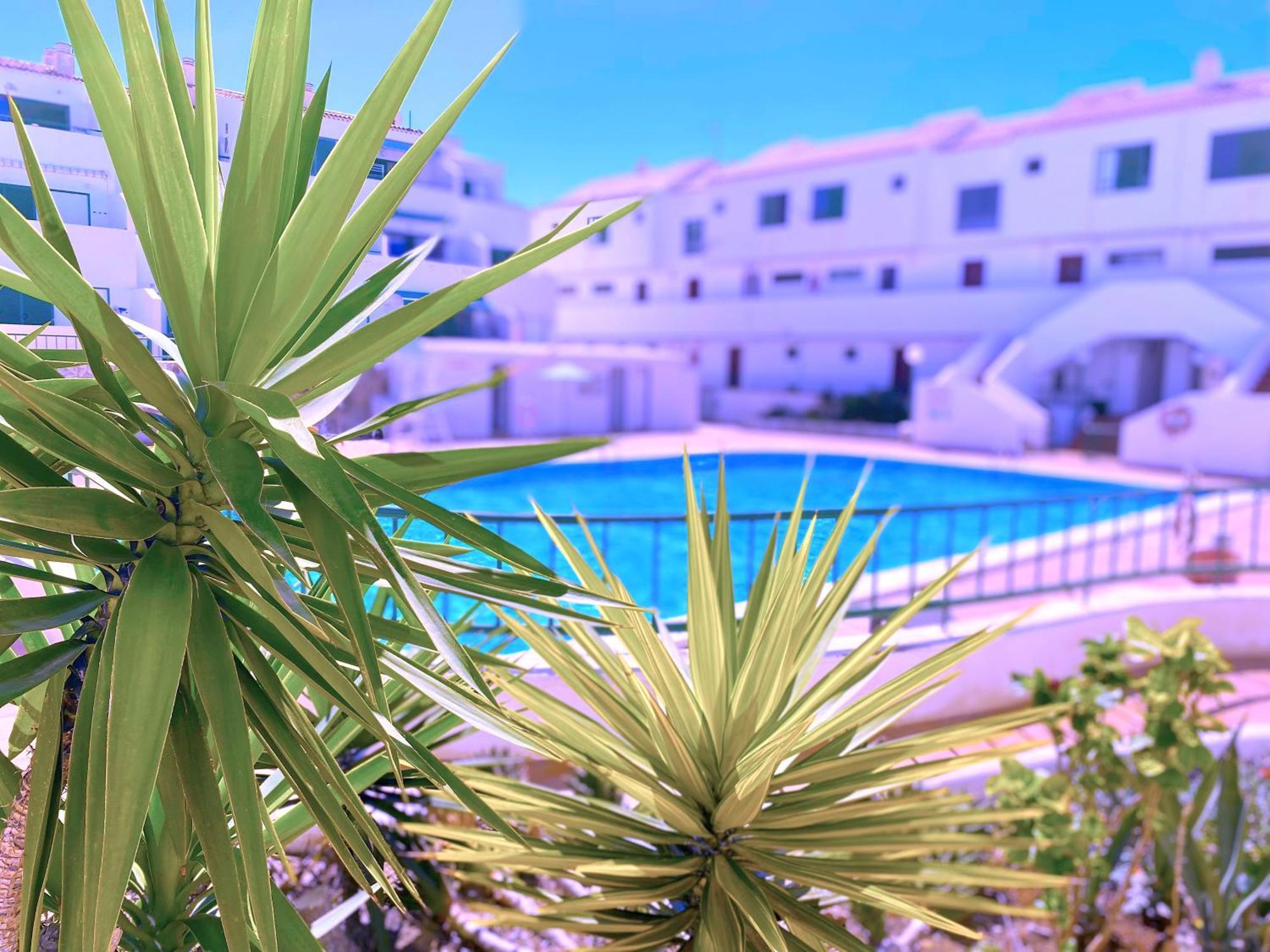 Ferienwohnung Tropicalidays Sunset Palm Costa Del Silencio Exterior foto